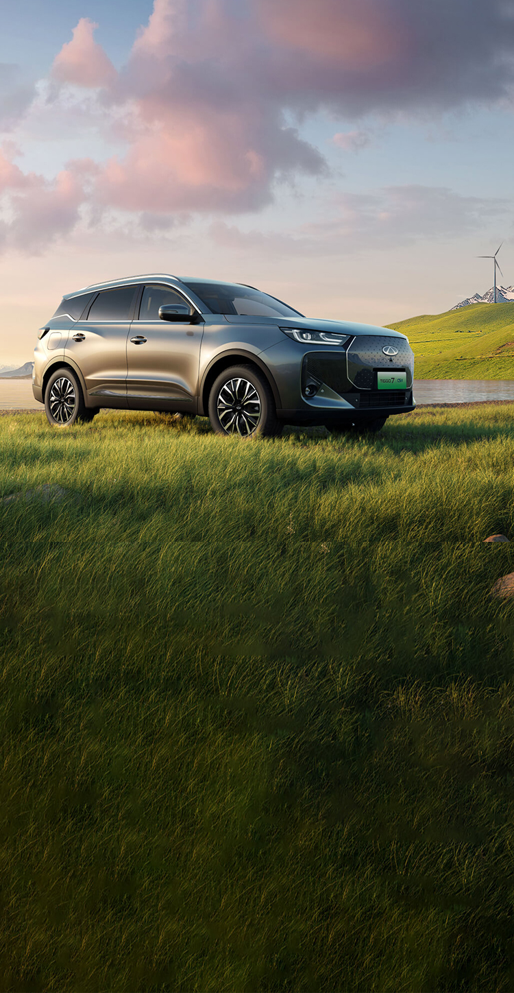 NEV Sales Performance